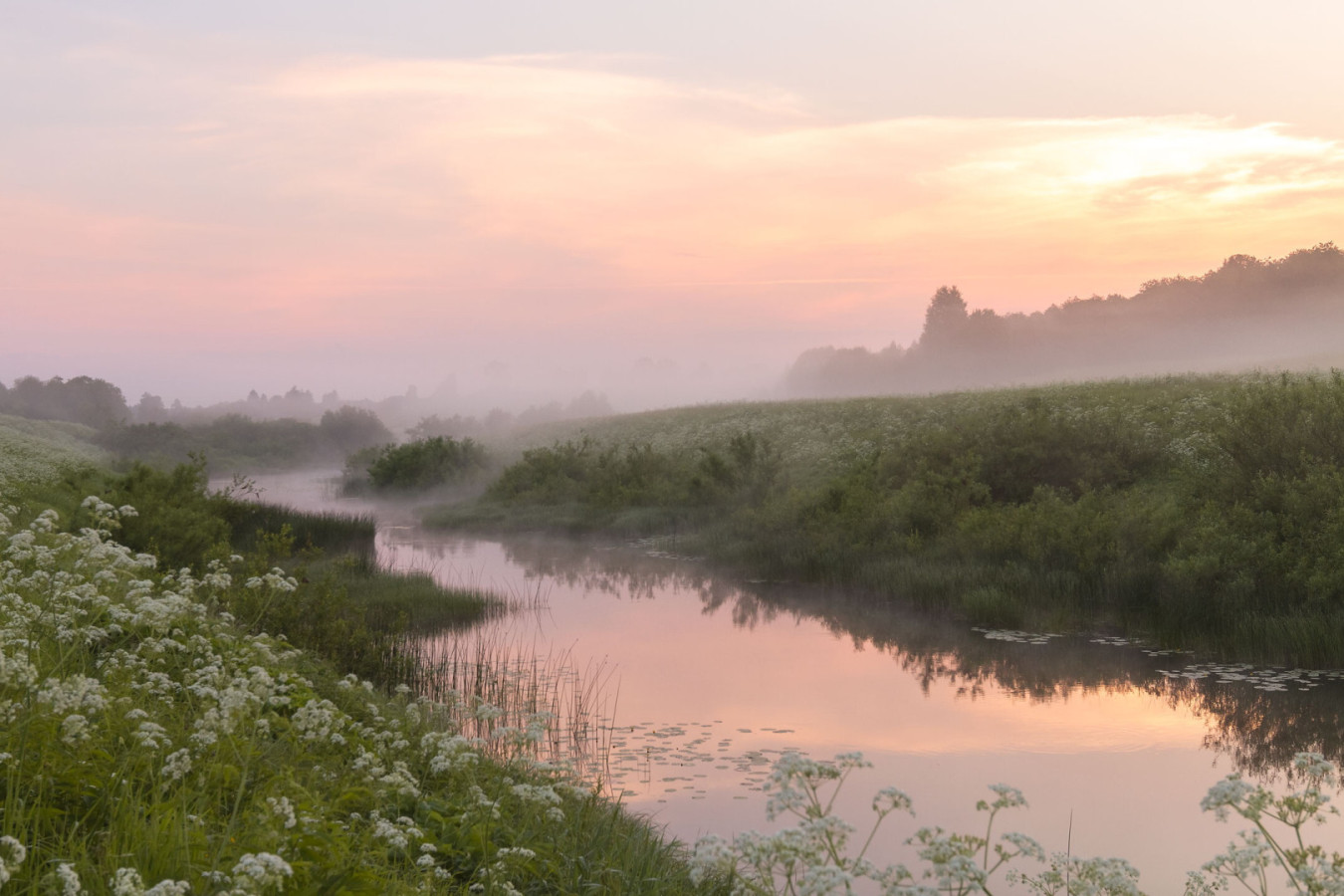 Лес и река в Костромской области. Фото: Наталья Афанасьева, участник конкурса РГО «Самая красивая страна» 