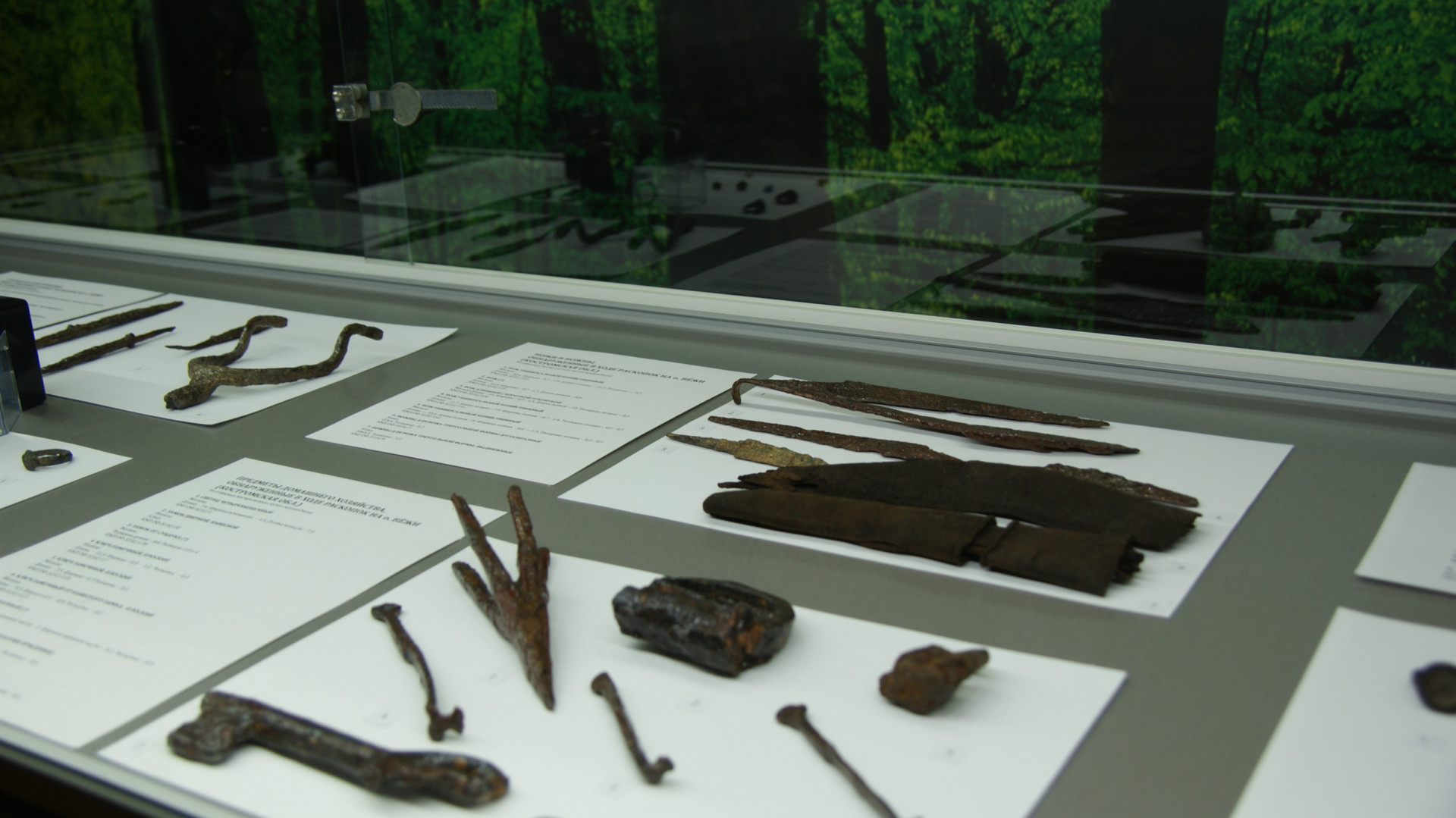 II Фестиваль Русского географического общества.