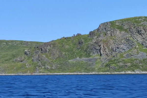 Лекция «Где находится Плавморнин? Об исследованиях Баренцева моря»