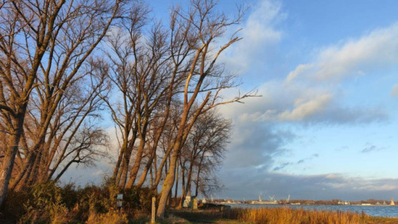 Rautenberg's Cargo: What RGS’s Expedition Found At Former German Neutief Airfield