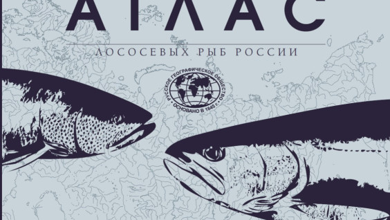 Первый в России «Атлас лососевых рыб» представят в Штаб-квартире РГО в Москве 
