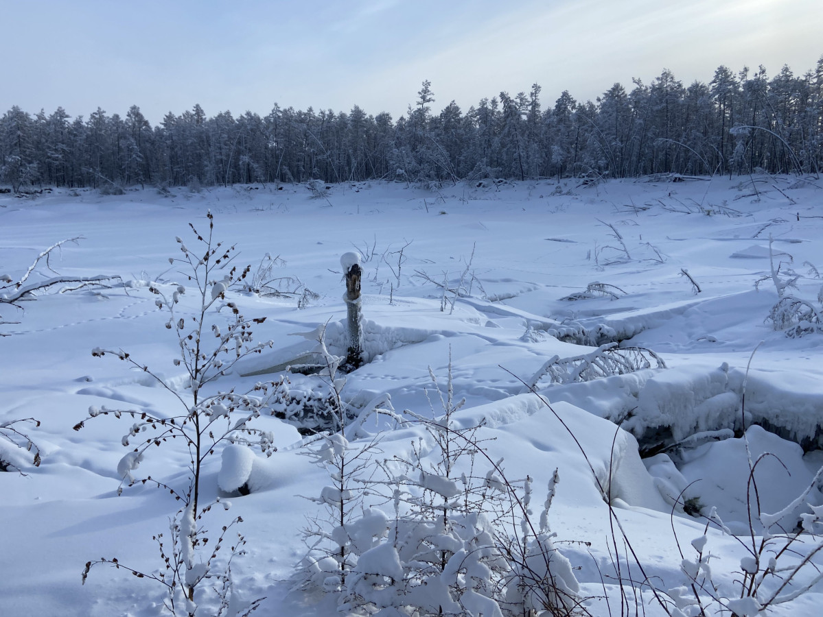 Дюёдя — озёра небольшого размера, со всех сторон окруженные лесом. Фото: Леонид Гагарин