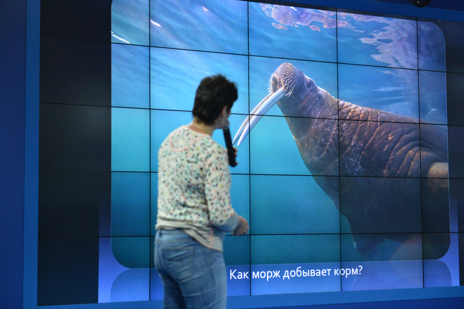 II Фестиваль Русского географического общества.