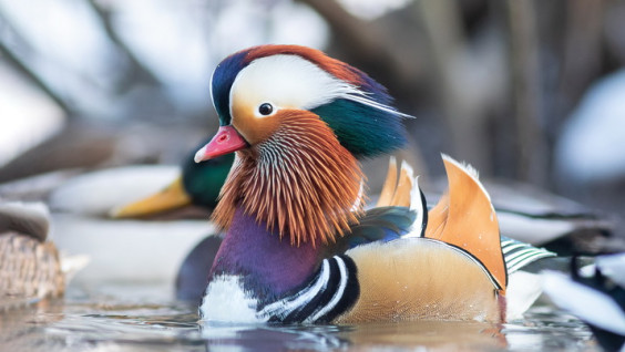 Кто на Москву смотрит свысока