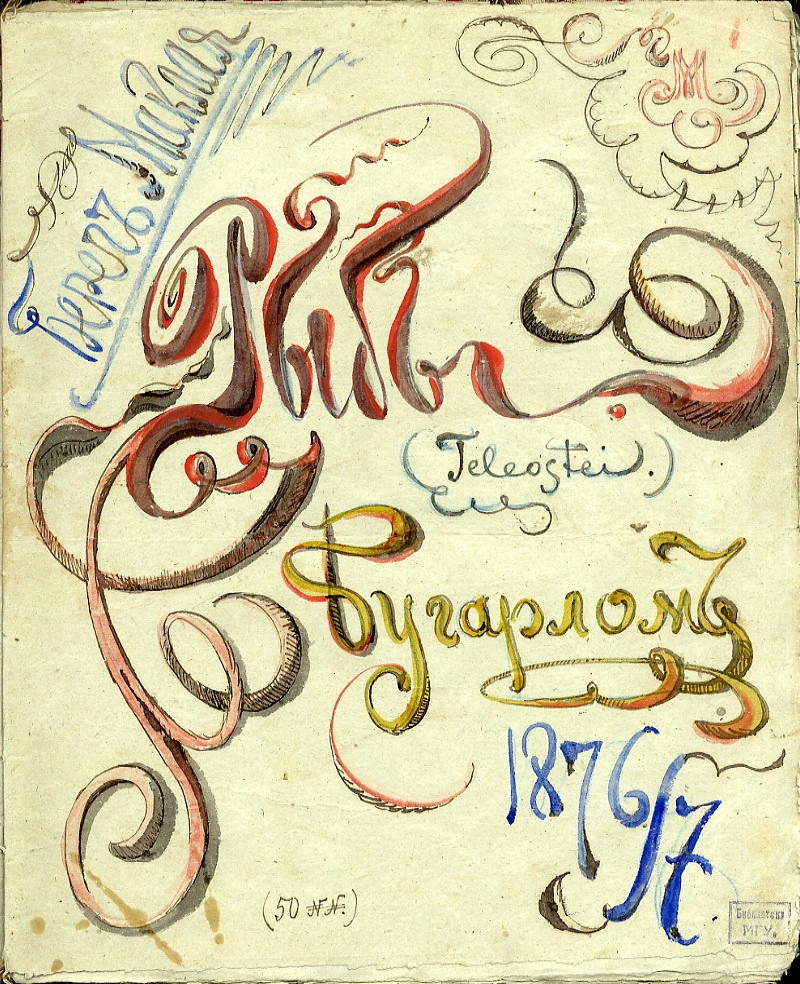 Иллюстрации из Архива РГО
