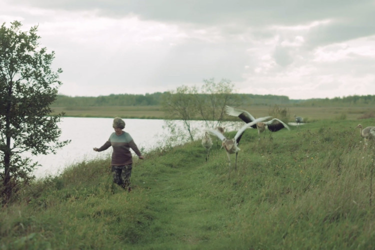 Альтернативный мир: где и как пересекаются люди и дикие животные и нужно ли им это