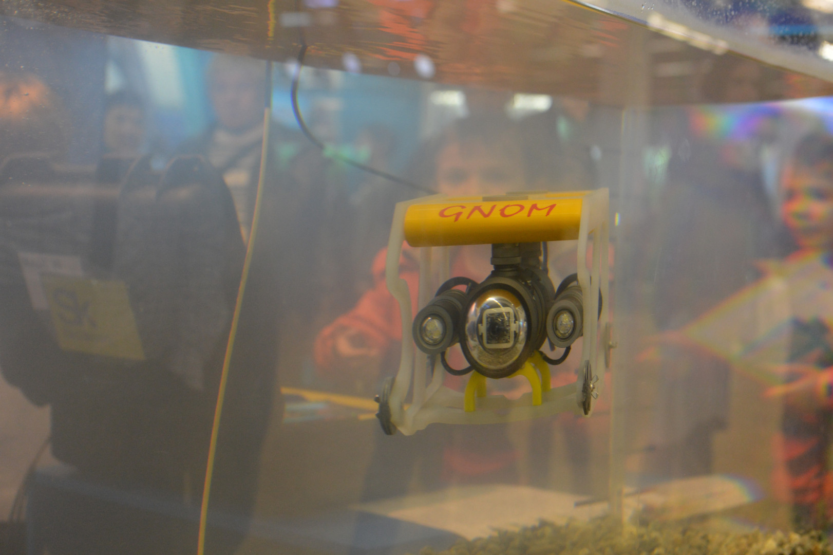 II Фестиваль Русского географического общества.