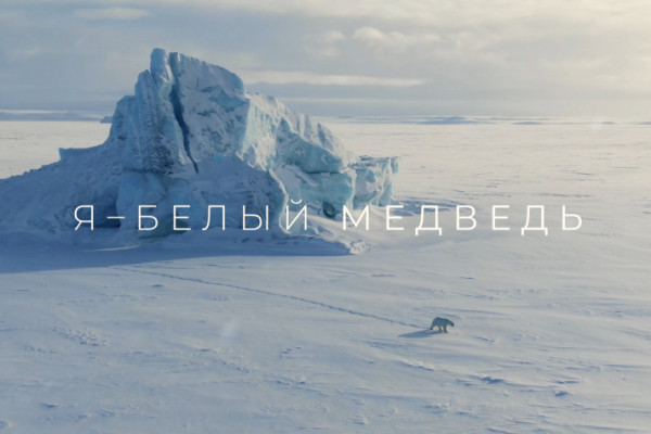 Я – белый медведь