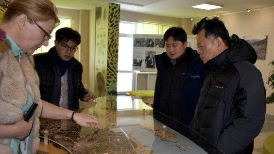 Russian And South Korean Scientists Discussed The Amur Leopard Reintroduction Possibilities To The Korean Peninsula