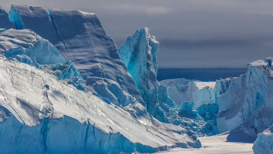 Арктика или Антарктика? Пройти тест