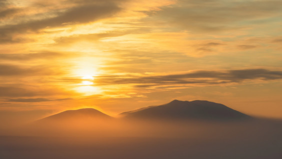 Проект «Заповедное дело РГО» приглашает добровольцев на Чукотку