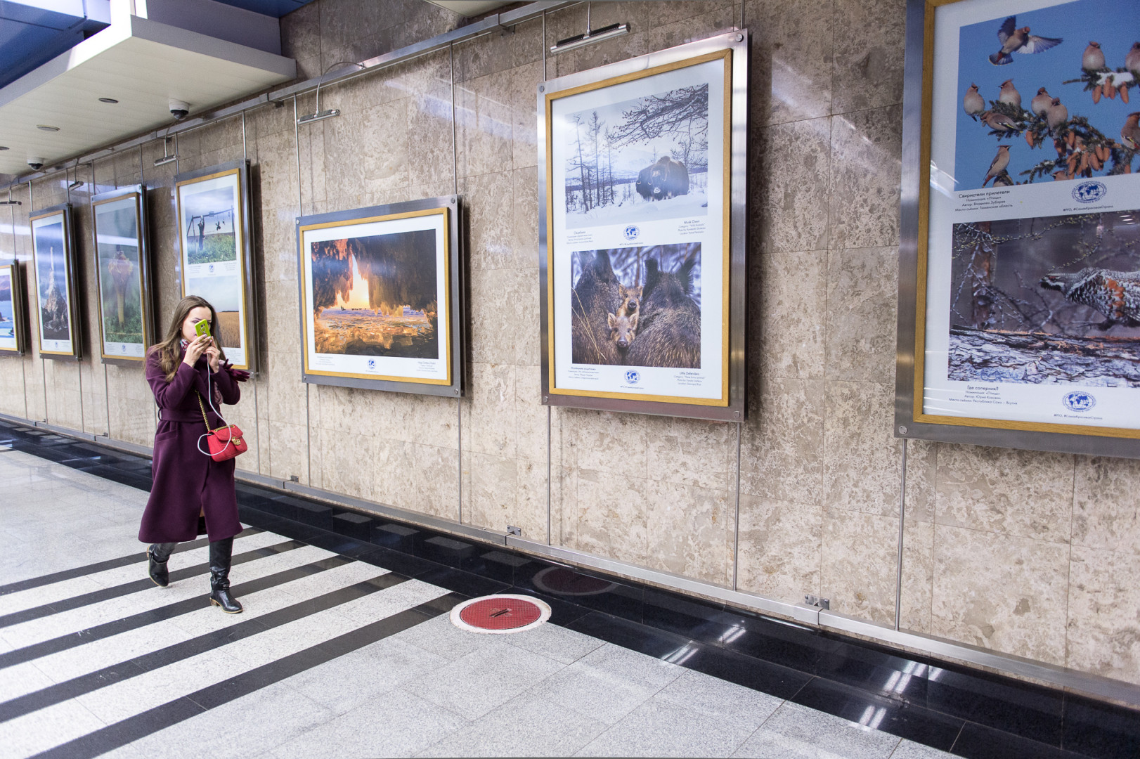 Фотовыставка "Самая красивая страна" в Московском метро