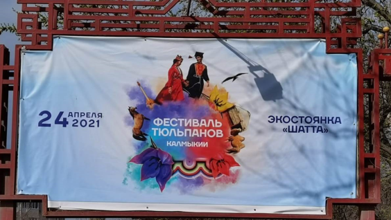 Степная экспедиция Русского географического общества на фестивале тюльпанов в Калмыкии