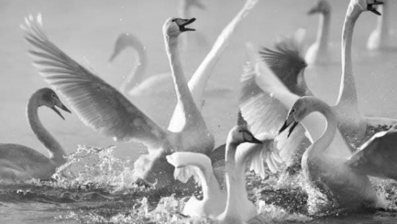 Приглашаем на мастер-класс "Документальность и художественность в современной фотографии"