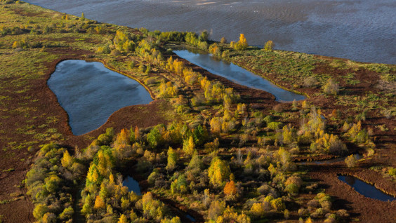 РГО начинает конкурсный отбор в лагерь проекта «Природа БЕЗопасности» в Томской области