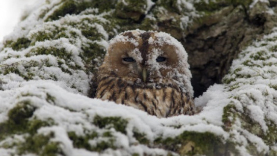 "Snow Country" Photo Exhibition In Moscow
