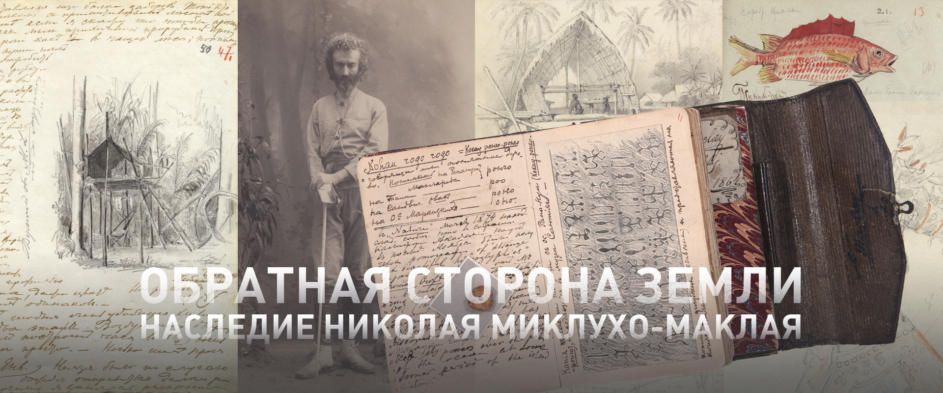 Миклухо-Маклай - 180