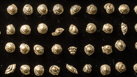 Золото любит тишину: археологи два года молчали о находке 65 золотых предметов в погребении в Туве