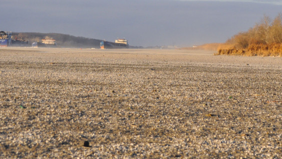 Geographers to Assess the Impact of Prolonged Low Water Level on the Ecosystems of the Don Estuary