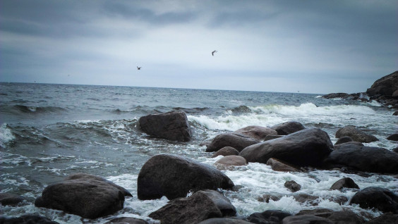 В эпицентре катастроф: экспедиция РГО исследует внешние острова Финского залива