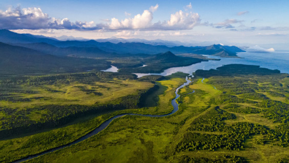 January 11 is the day of Reserves and National Parks