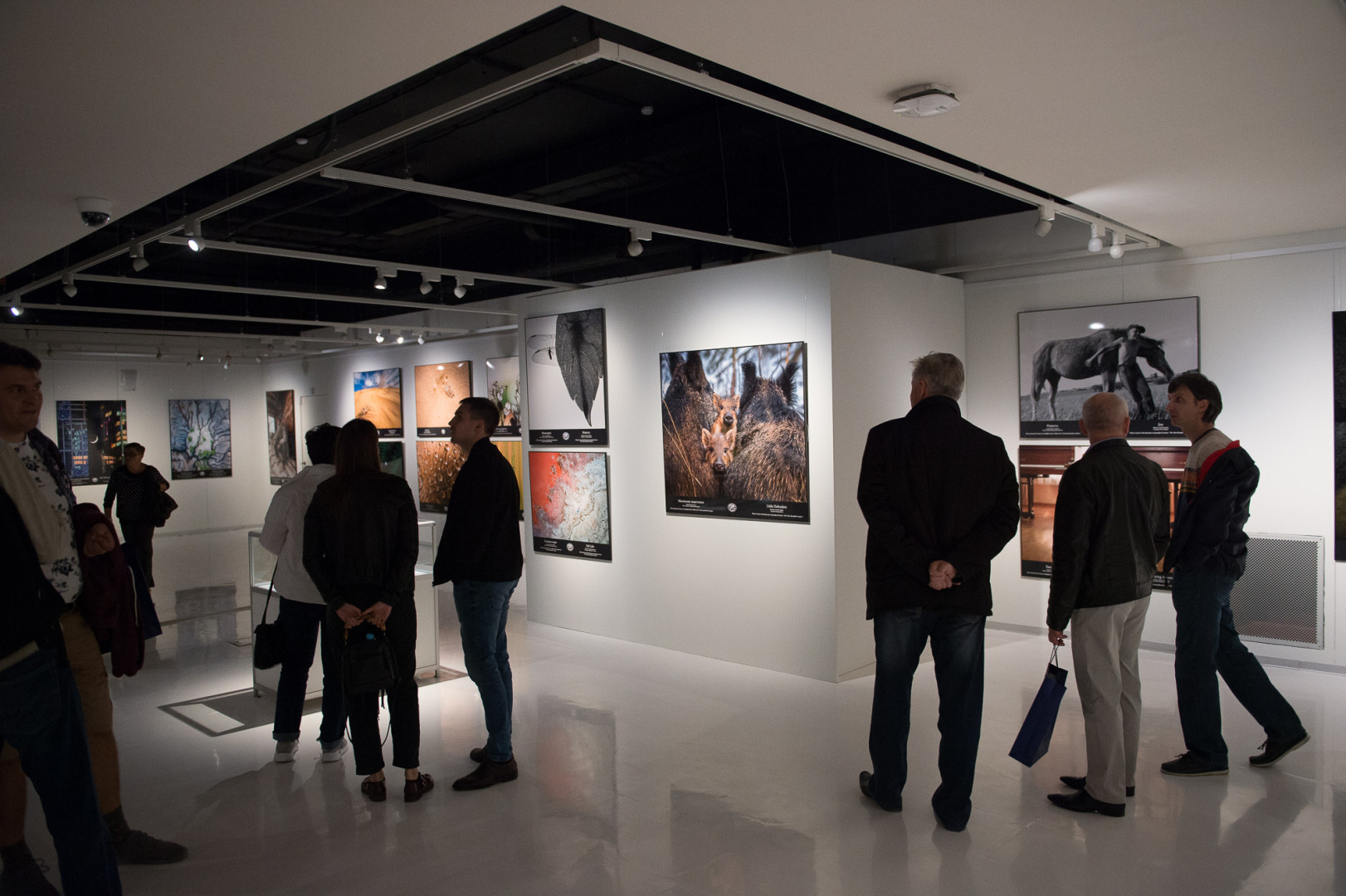 Выставка V фотоконкурса "Самая красивая страна" в Зарядье