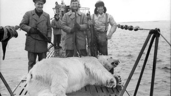 Как один белый медведь сорвал секретную миссию нацистов на Земле Александры
