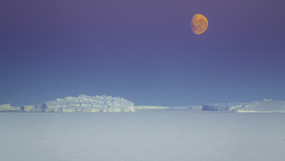 Heat of Antarctica: Temperature Record Recorded on Sixth Continent