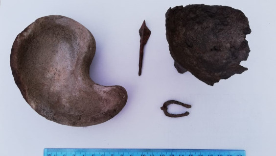 Самая древняя находка на Туннуге: участники экспедиции РГО обнаружили первый артефакт скифского времени