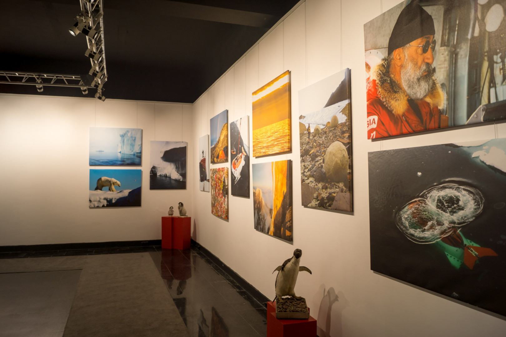 Открытие выставки "От Арктики до Антарктики"