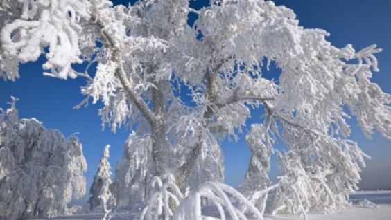 The frost. Civilization