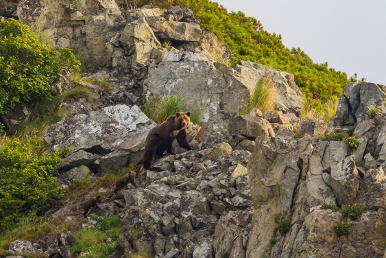 День Магаданской области пройдет в Штаб-квартире РГО в Москве