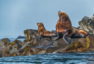Первая люкс-экспедиция по Курилам