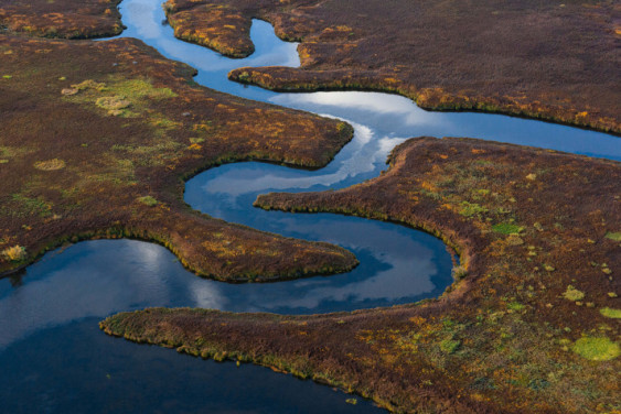 Всемирный день водно-болотных угодий