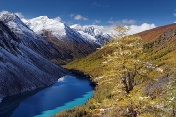 In focus: Altai