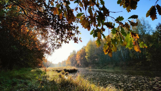 Географы изучили восточную часть будущего национального парка "Нижегородское Заволжье"