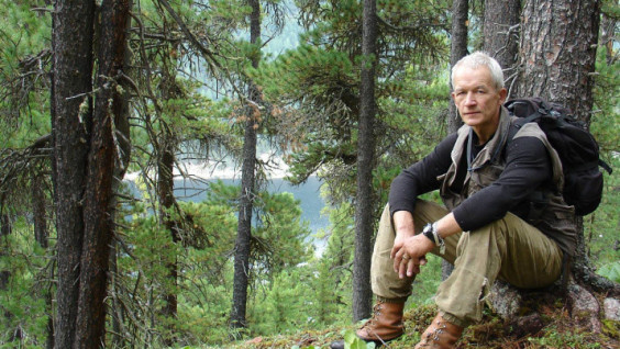 Global Climate Change is Killing Siberian Pine and Fir