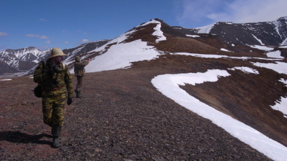 Ornitologists Crossed Distance Equal To Seven Equators Studying The "Hard-To-Reach" Birds