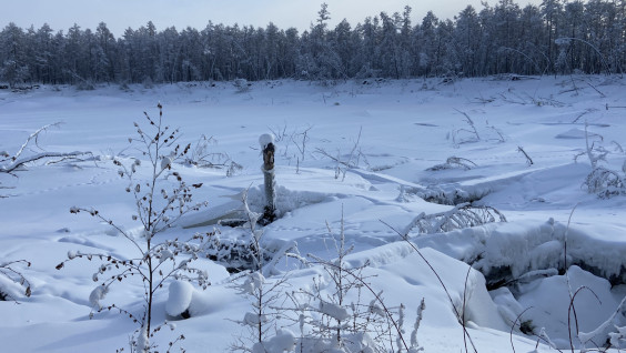 Процесс не уникальный: географы объяснили исчезновение озера в Якутии
