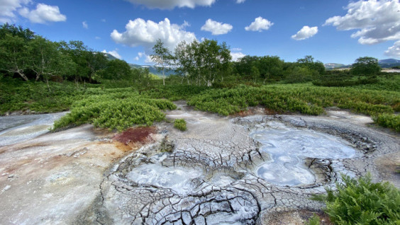 "Narcisols": Why the Geographers Called the Soils of the Valley of Geysers in Honor of the Hero of Myths