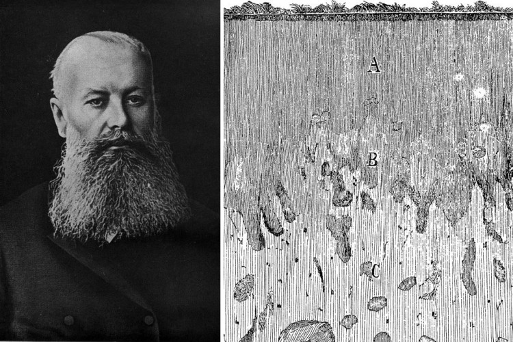 «Дороже золота — русский чернозем»: 180 лет назад родился основоположник почвоведения Василий Докучаев 