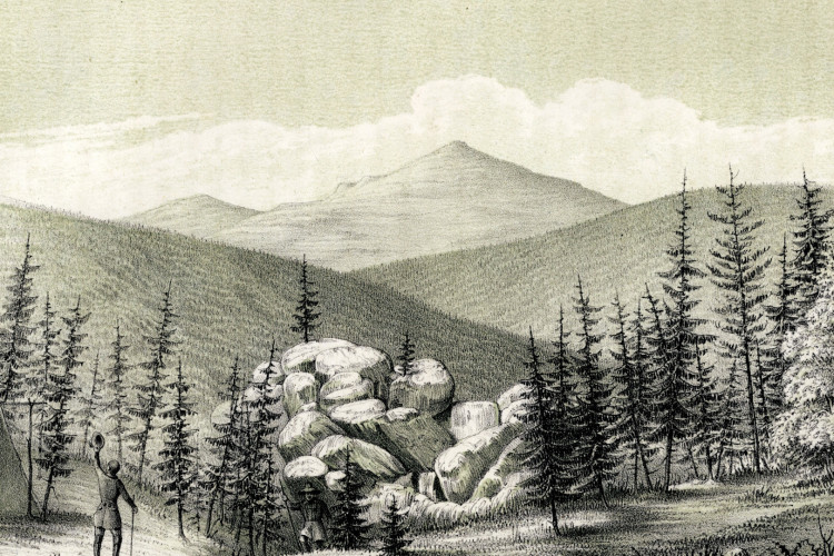 «Настойчивость к перенесению трудностей»: кредо Эрнста Гофмана