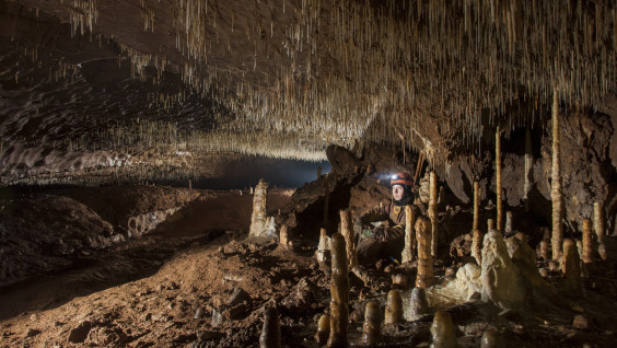 Пещера Ботовская