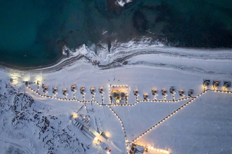 Китовый берег: где на Кольском полуострове устроить краб-сафари и отметить шаманский Новый год?