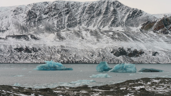 Малышу скоро год: что известно о новом острове в Арктике, открытом экспедицией РГО