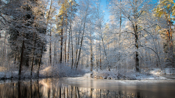 В Штаб-квартире РГО представили самые «зеленые» города России для ответственных туристов