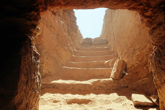 Egyptologist Patrizia Piacentini: "Our Work is a Great Scientific and Human Adventure"
