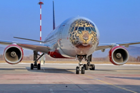 The Far Eastern leopard got his own plane