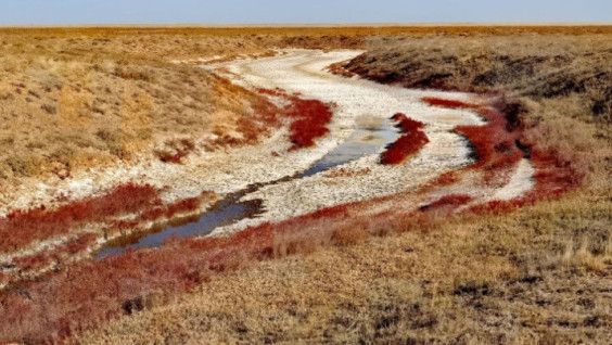 RGS’s Steppe Expedition Explores North-West of Kazakhstan