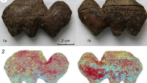 The Secret of Siberia's History May Be Discovered: Scientists Studied Ancient Artifacts